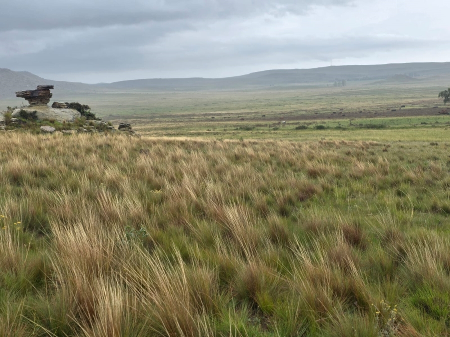 4 Bedroom Property for Sale in Jamestown Eastern Cape